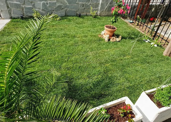 Happy Nea Kallikrateia