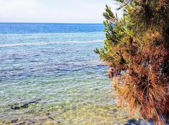 Happy Case de vacanță